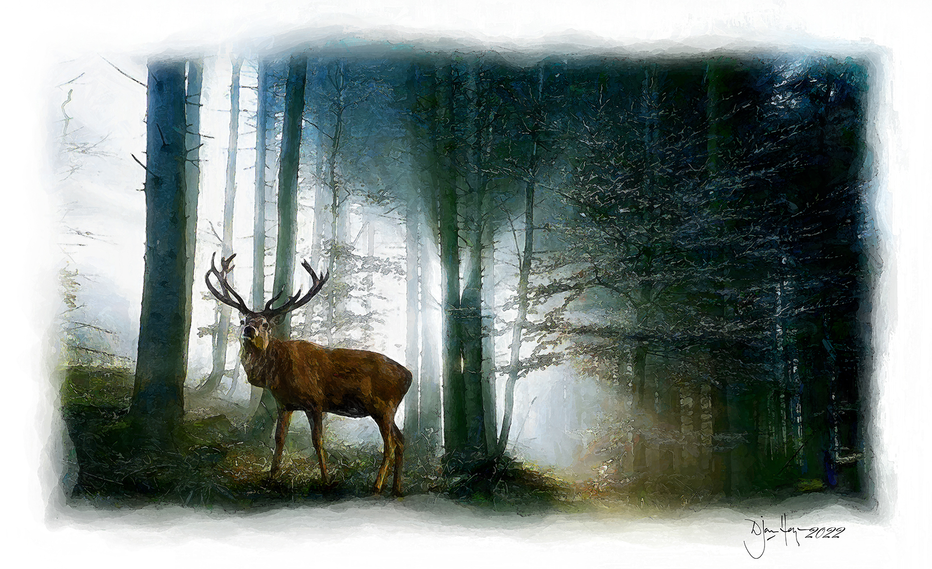 landscapes ashridge-estate-woods woodlands