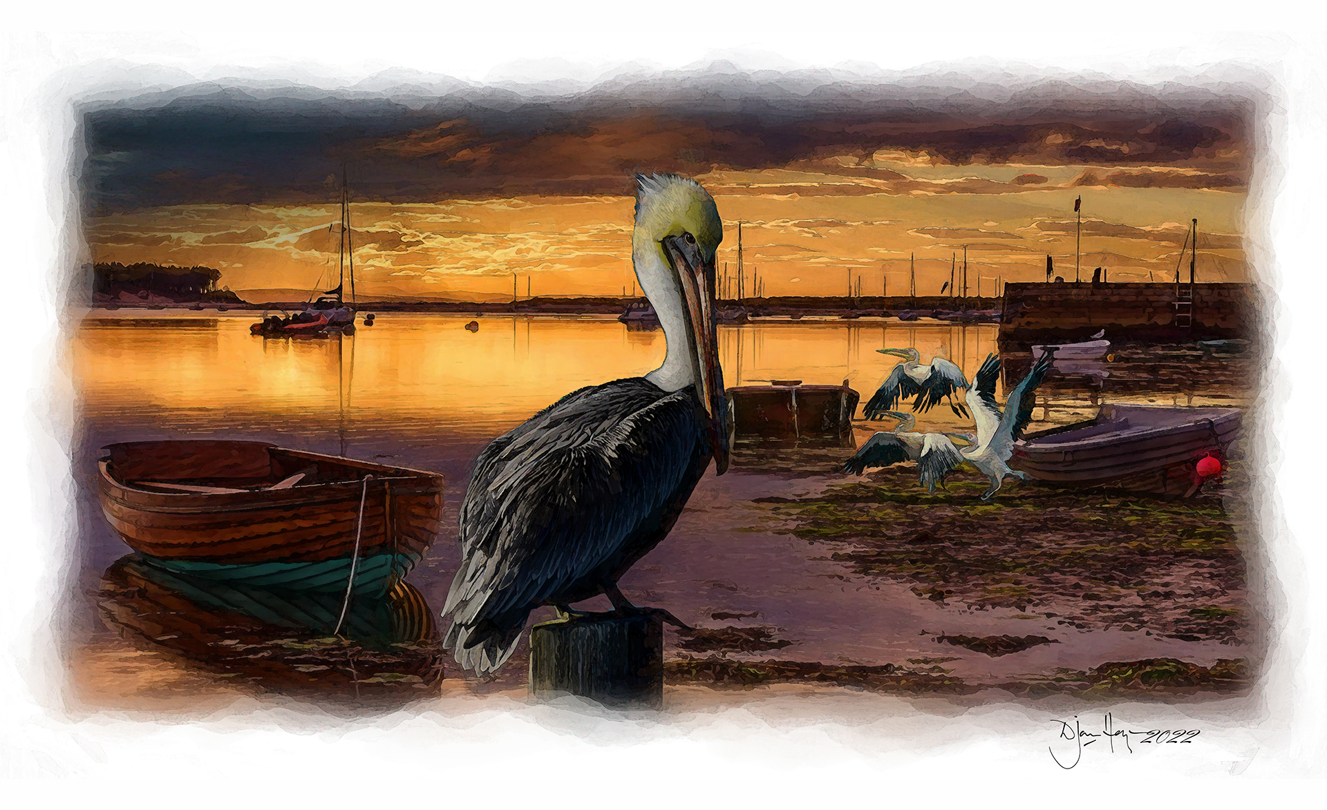 landscapes dawn-in-pelican-quays harbour