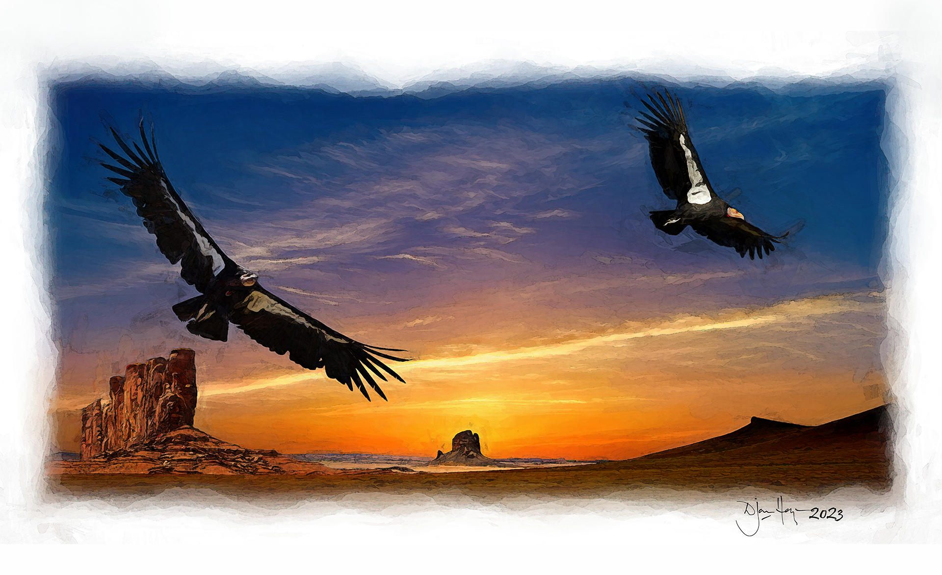 nature el-condor birds
