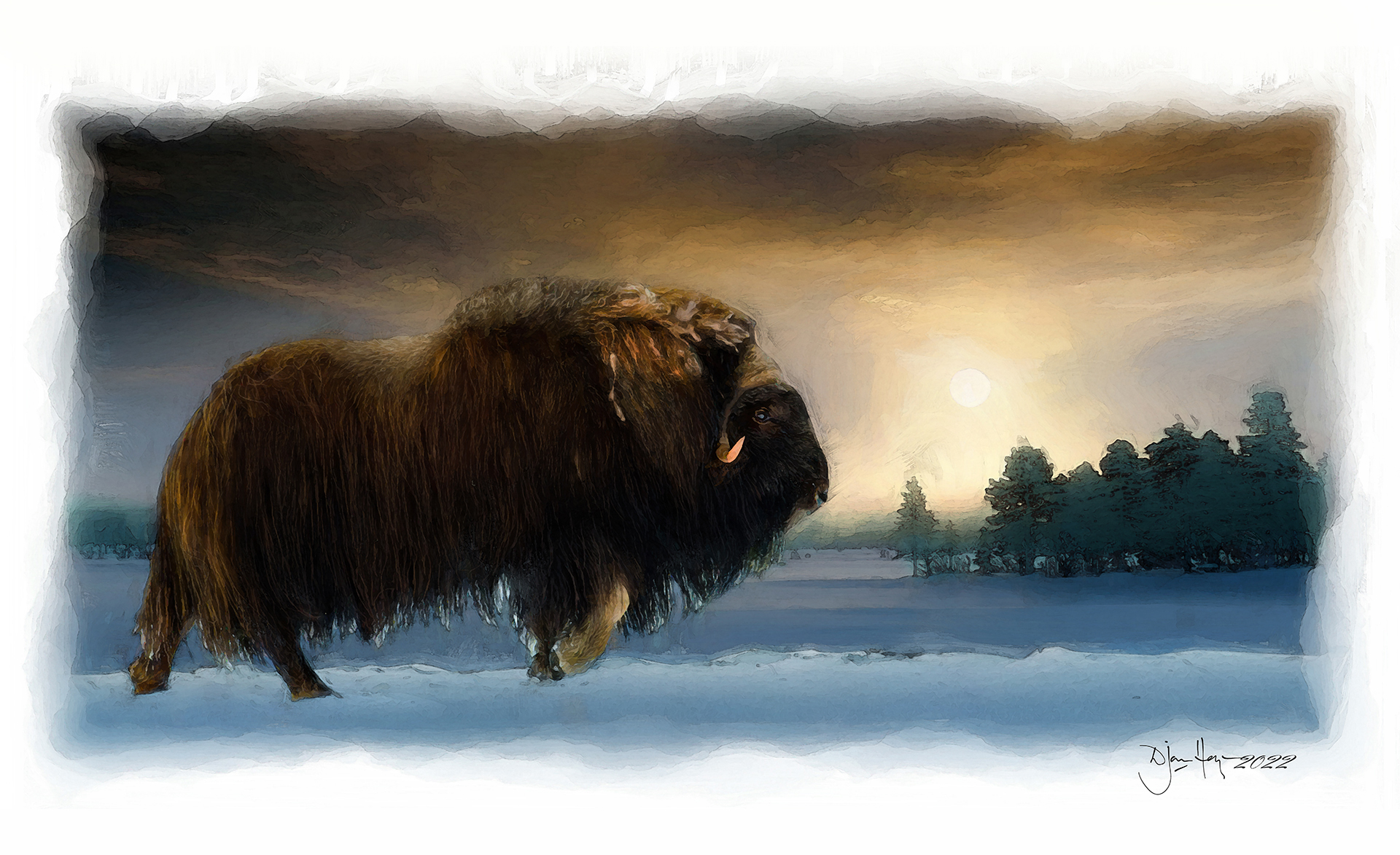 nature king-of-the-arctic-wastes bovine