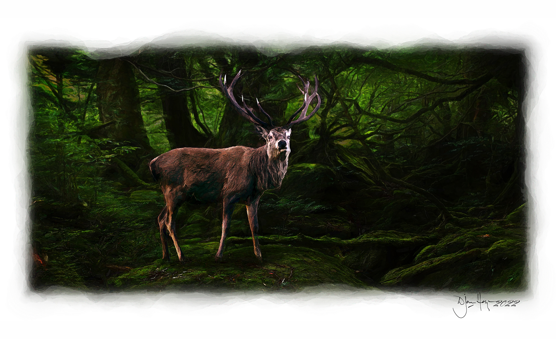 nature king-of-the-green-woods deer