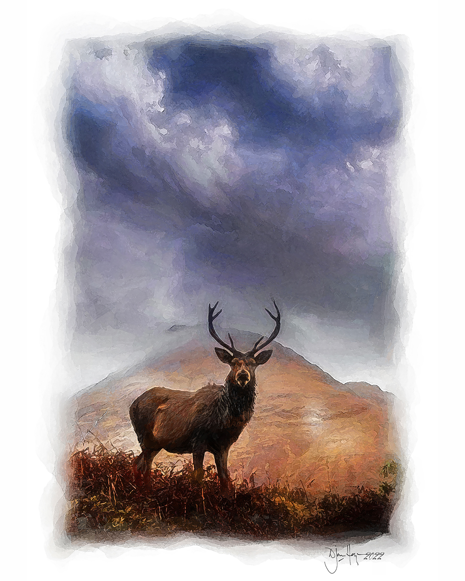 nature king-of-the-mists deer
