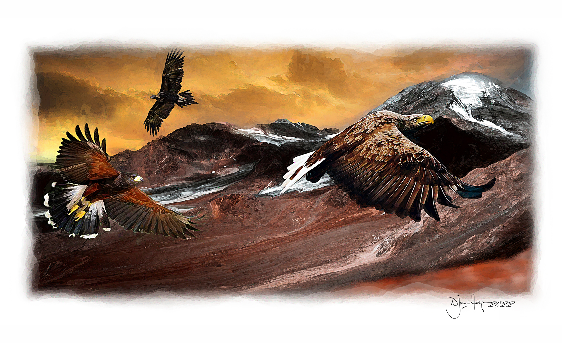 nature lords-of-the-wind birds