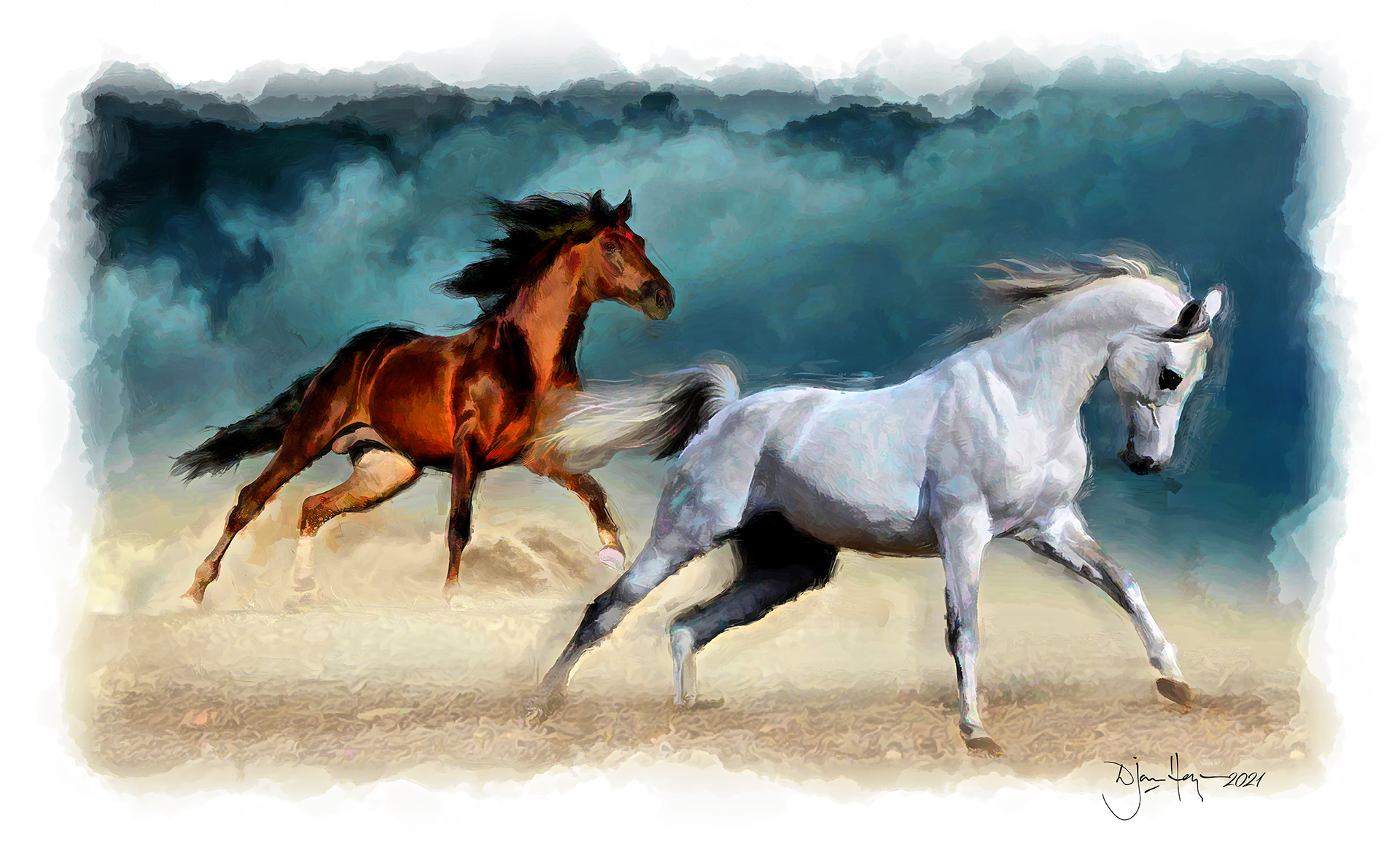nature mustangs wildlife