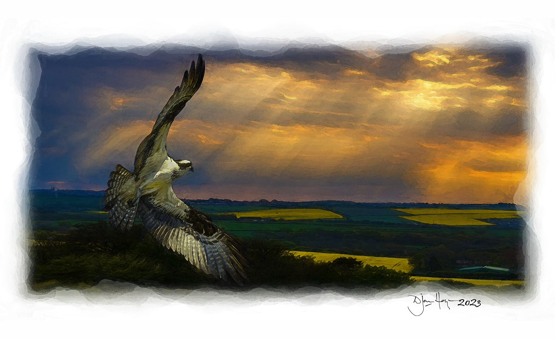 nature navigating-turbulence birds