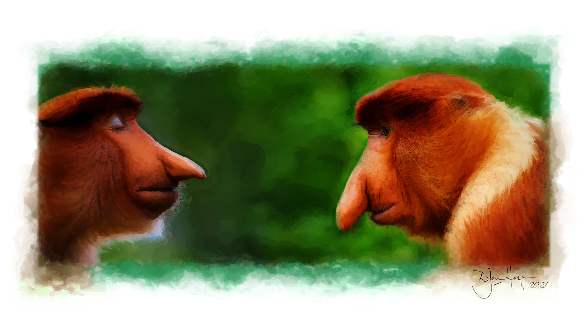 nature proboscis-monkeys wildlife