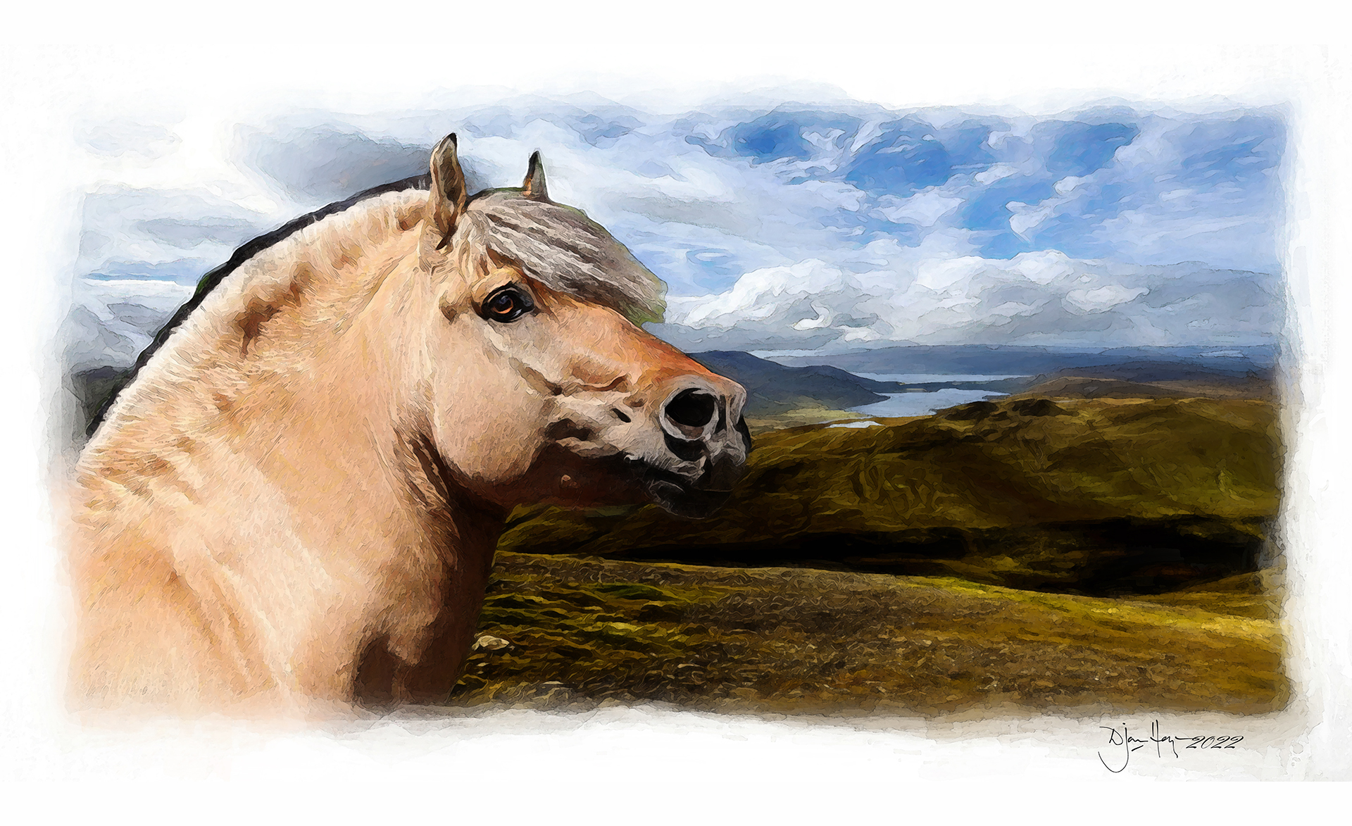 nature przewalskis-horse equine