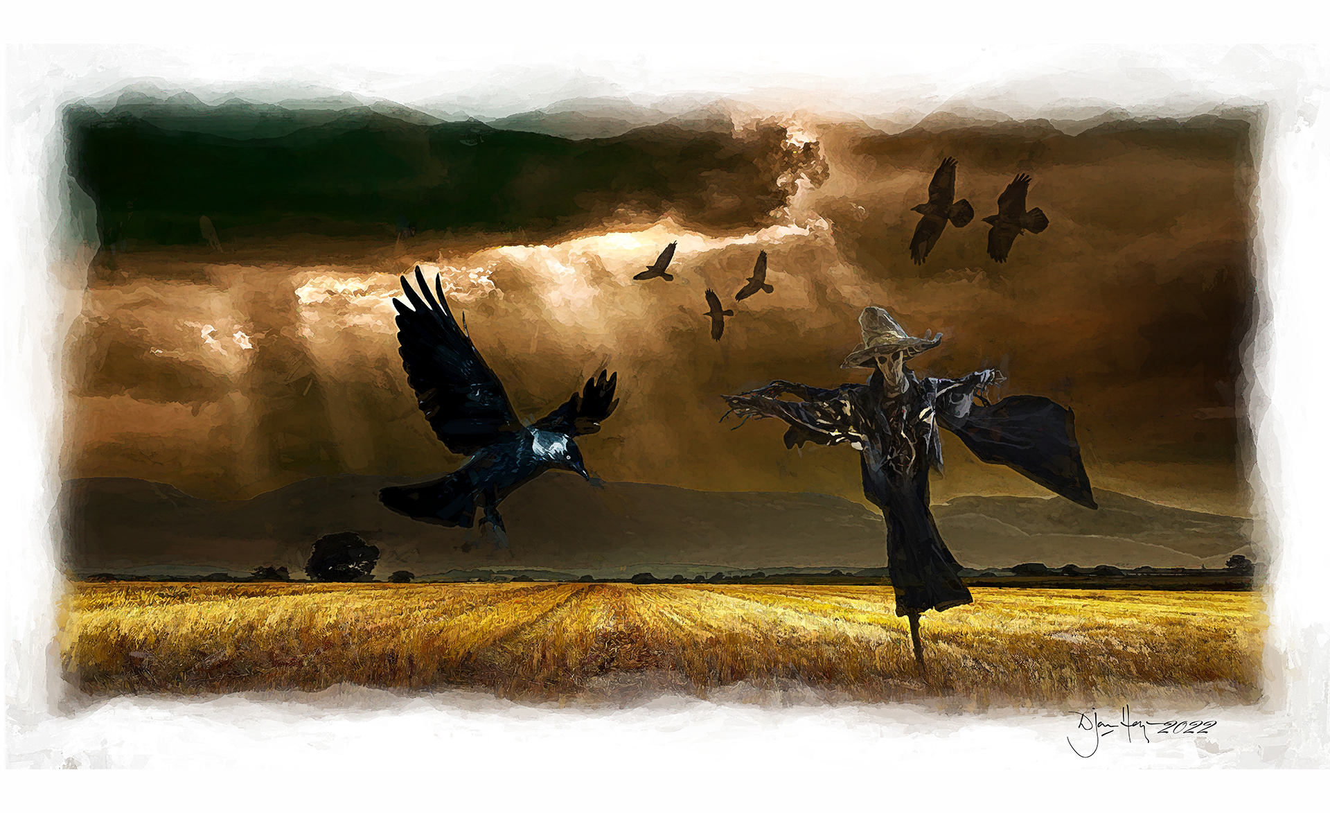 nature storm-crows birds