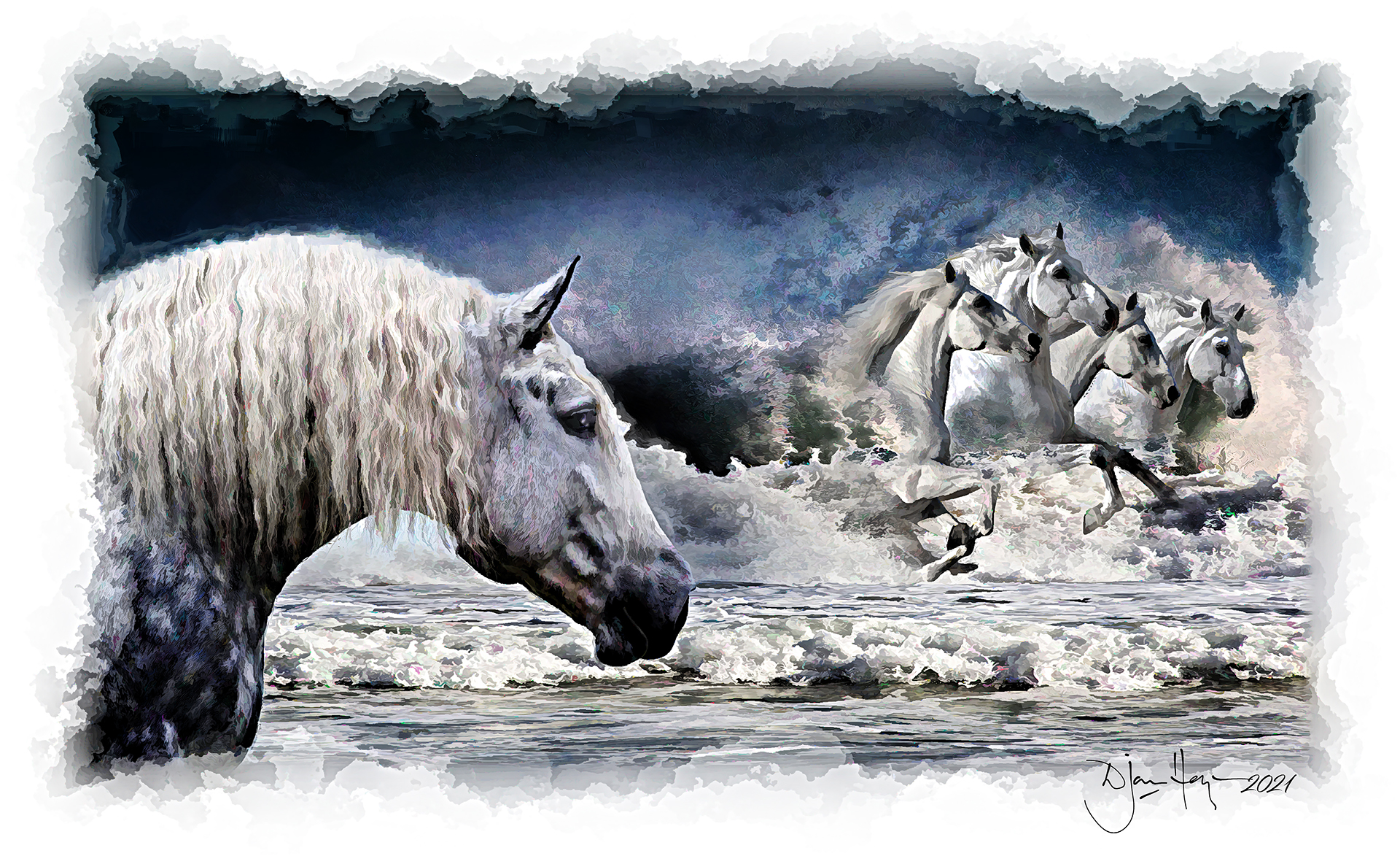 nature the-dream-of-white-horses wildlife