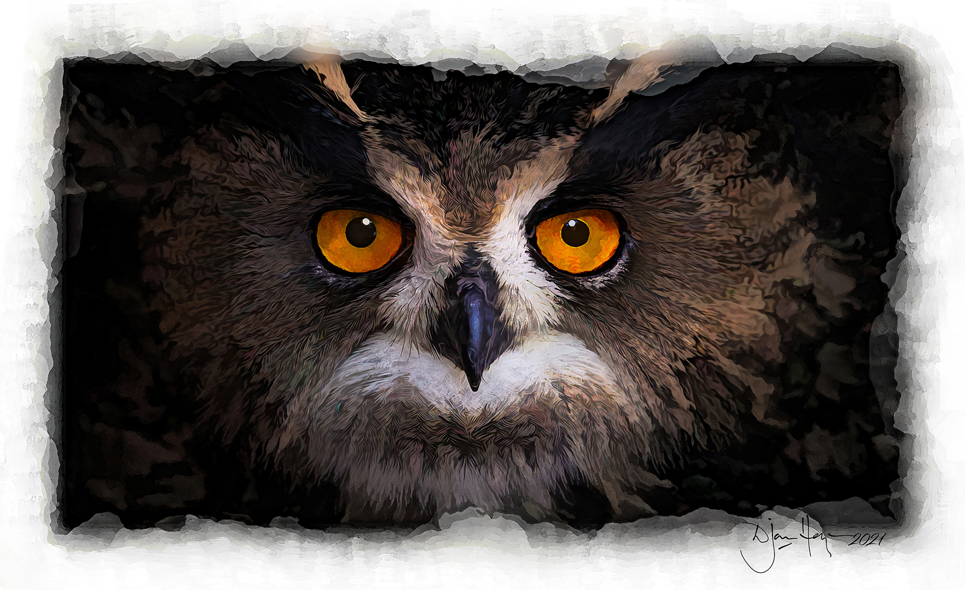 nature the-eyes-of-the-forest wildlife